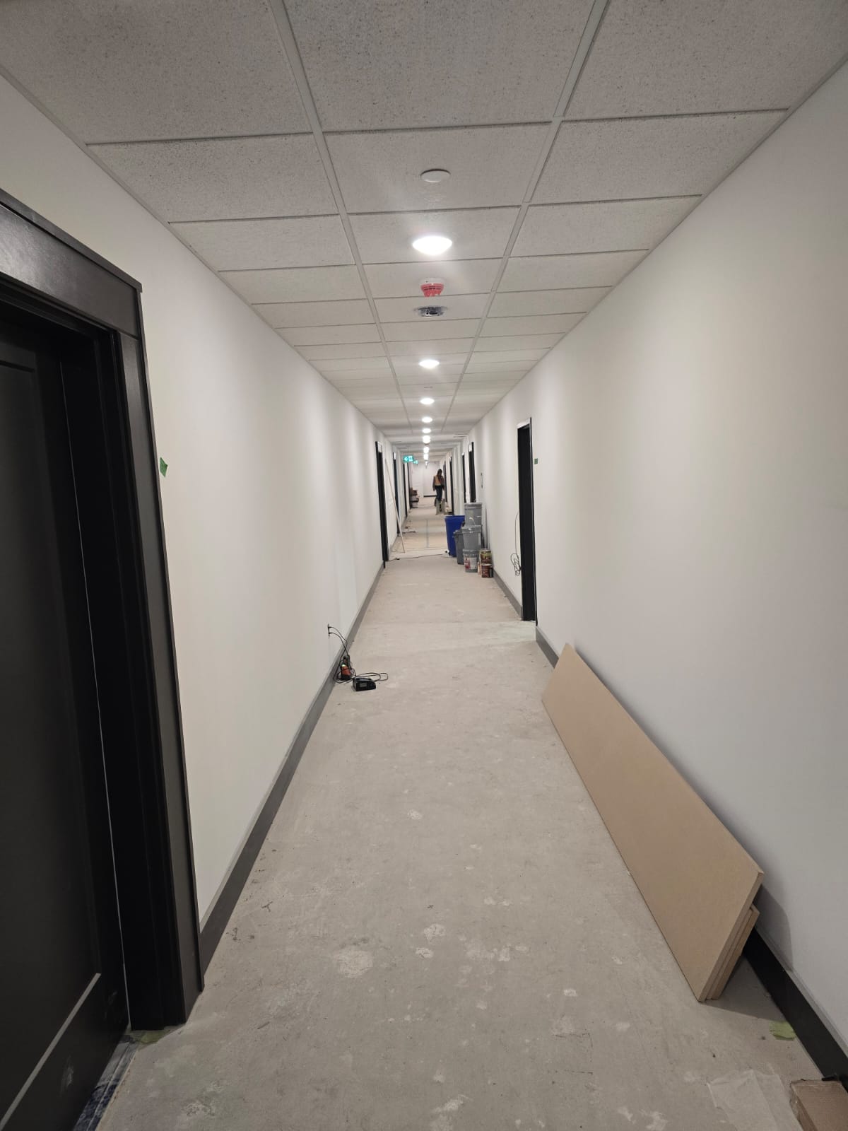 Project Image 13